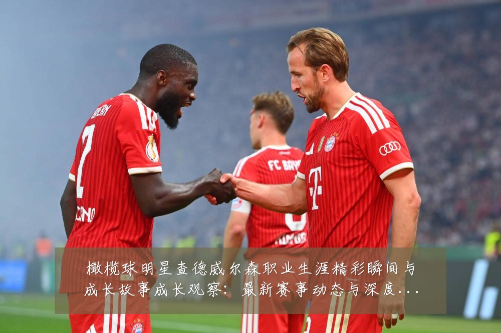 橄榄球明星查德威尔森职业生涯精彩瞬间与成长故事成长观察:最新赛事动态与深度分析